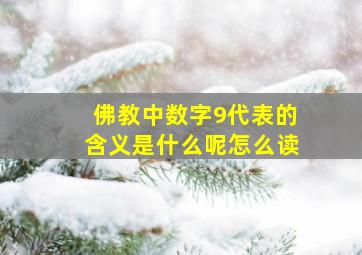 佛教中数字9代表的含义是什么呢怎么读