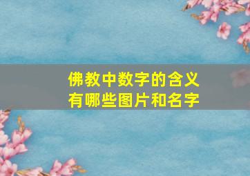 佛教中数字的含义有哪些图片和名字