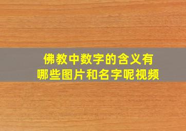 佛教中数字的含义有哪些图片和名字呢视频