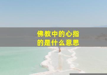 佛教中的心指的是什么意思