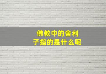 佛教中的舍利子指的是什么呢