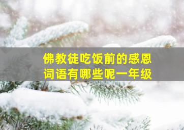 佛教徒吃饭前的感恩词语有哪些呢一年级