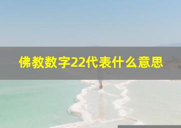 佛教数字22代表什么意思