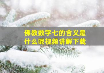 佛教数字七的含义是什么呢视频讲解下载