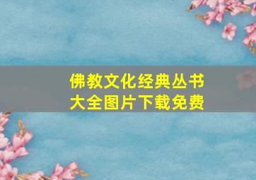 佛教文化经典丛书大全图片下载免费