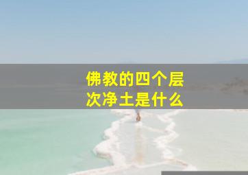 佛教的四个层次净土是什么