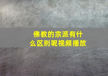 佛教的宗派有什么区别呢视频播放