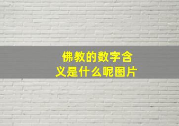 佛教的数字含义是什么呢图片