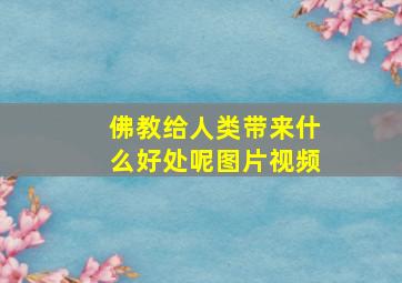 佛教给人类带来什么好处呢图片视频