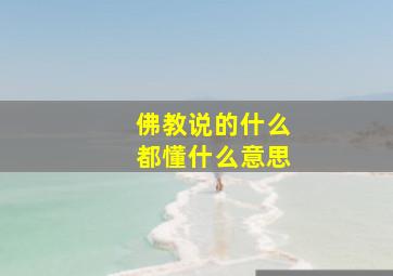 佛教说的什么都懂什么意思