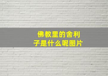 佛教里的舍利子是什么呢图片