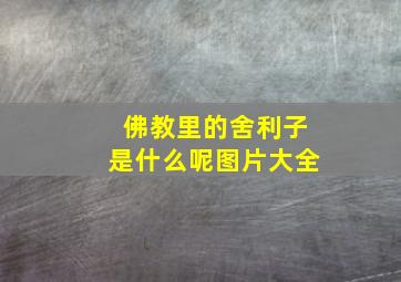 佛教里的舍利子是什么呢图片大全