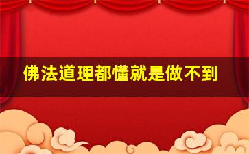 佛法道理都懂就是做不到