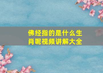 佛经指的是什么生肖呢视频讲解大全