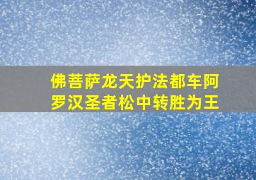 佛菩萨龙天护法都车阿罗汉圣者松中转胜为王