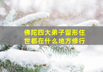 佛陀四大弟子留形住世都在什么地方修行