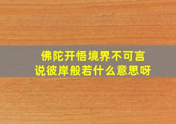 佛陀开悟境界不可言说彼岸般若什么意思呀