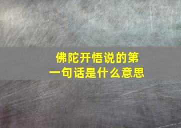 佛陀开悟说的第一句话是什么意思