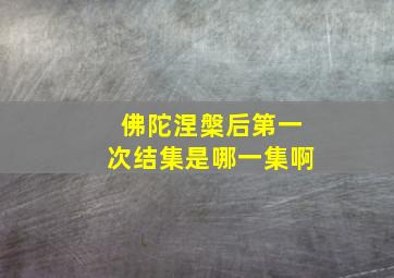 佛陀涅槃后第一次结集是哪一集啊