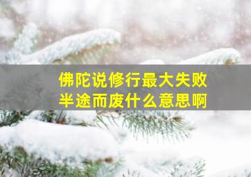 佛陀说修行最大失败半途而废什么意思啊