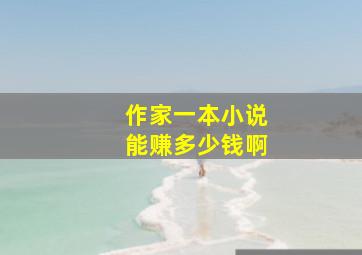 作家一本小说能赚多少钱啊