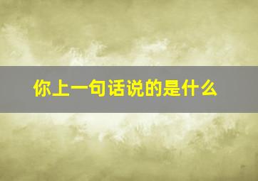 你上一句话说的是什么