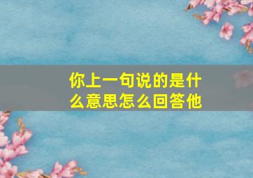 你上一句说的是什么意思怎么回答他