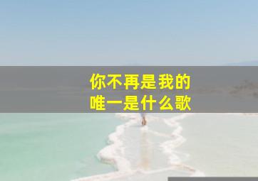 你不再是我的唯一是什么歌