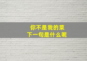 你不是我的菜下一句是什么呢