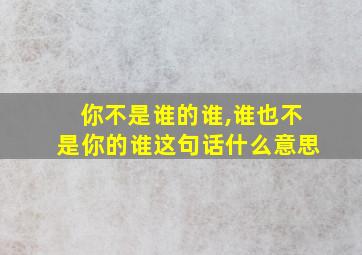 你不是谁的谁,谁也不是你的谁这句话什么意思