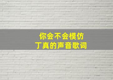 你会不会模仿丁真的声音歌词