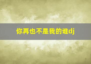 你再也不是我的谁dj