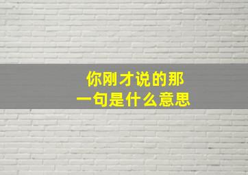 你刚才说的那一句是什么意思