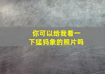 你可以给我看一下猛犸象的照片吗