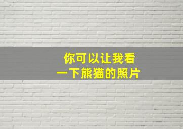 你可以让我看一下熊猫的照片