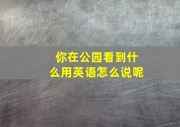 你在公园看到什么用英语怎么说呢