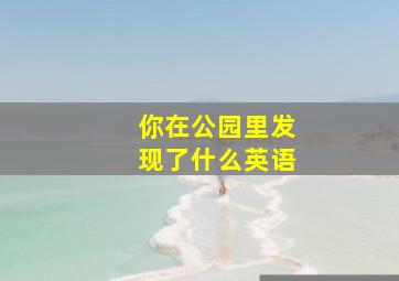 你在公园里发现了什么英语