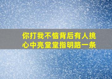 你打我不恼背后有人挑心中亮堂堂指明路一条