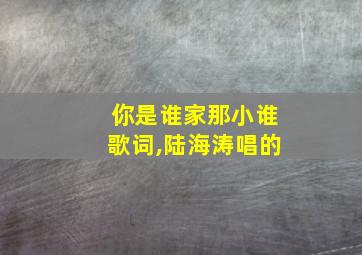 你是谁家那小谁歌词,陆海涛唱的