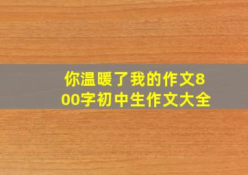 你温暖了我的作文800字初中生作文大全