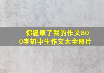 你温暖了我的作文800字初中生作文大全图片