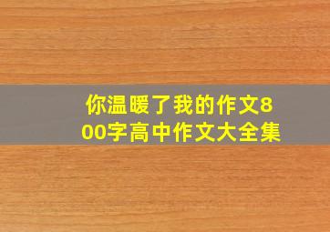 你温暖了我的作文800字高中作文大全集