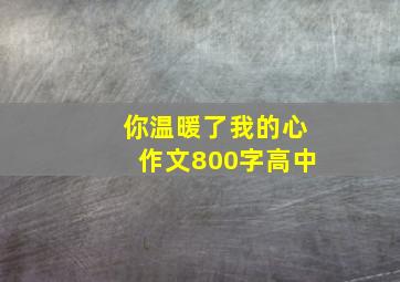 你温暖了我的心作文800字高中