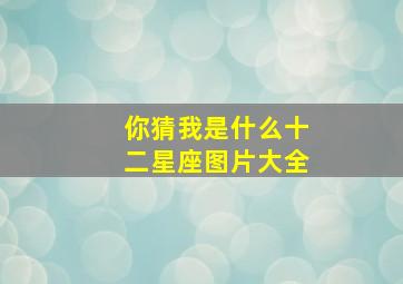 你猜我是什么十二星座图片大全