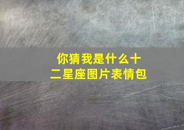 你猜我是什么十二星座图片表情包