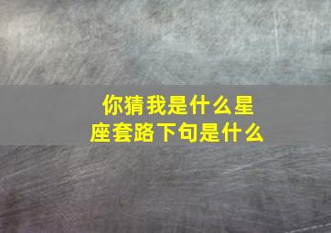 你猜我是什么星座套路下句是什么