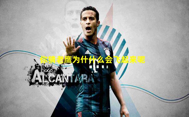 你猜老鹰为什什么会飞起来呢