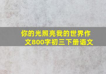 你的光照亮我的世界作文800字初三下册语文