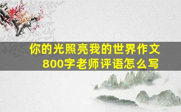 你的光照亮我的世界作文800字老师评语怎么写