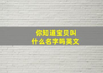 你知道宝贝叫什么名字吗英文